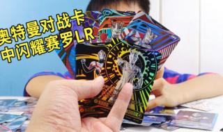 魔兽世界lr稀有宝宝